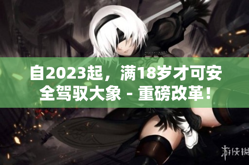 自2023起，滿18歲才可安全駕馭大象 - 重磅改革！