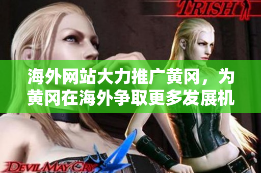 海外網站大力推廣黃岡，為黃岡在海外爭取更多發(fā)展機會