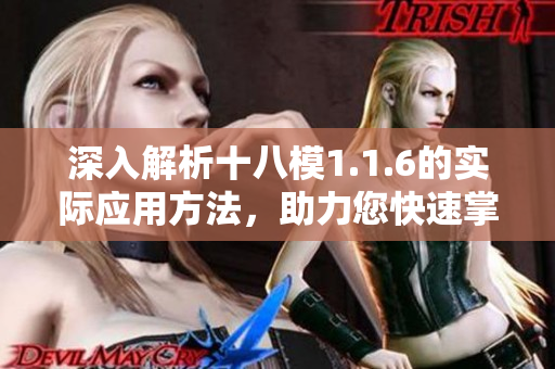 深入解析十八模1.1.6的實(shí)際應(yīng)用方法，助力您快速掌握相關(guān)主題