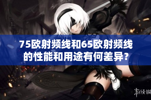 75歐射頻線和65歐射頻線的性能和用途有何差異？